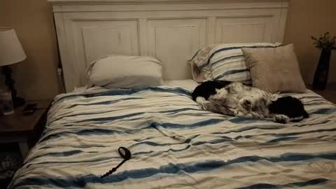 KingDing online show from October 10, 2025, 7:40 am