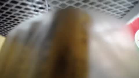 Snapshot of clare_sm chatting on November 27, 2025, 3:08 am 487699 online show from November 27, 2025, 3:08 am