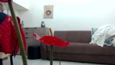 Deea xxx online show from December 22, 2024, 9:44 am