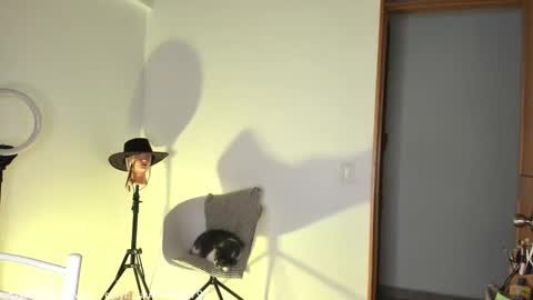 Claudia Rivera online show from October 31, 2025, 1:06 am