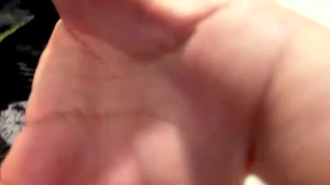 claudiolicro online show from April 12, 2026, 8:25 pm