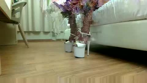 Snapshot of cm88chat chatting on November 13, 2025, 10:41 pm Lauratrav88 online show from November 13, 2025, 10:41 pm