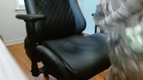 Snapshot of cobra19765 chatting on January 17, 2026, 10:02 pm cobra19765 online show from January 17, 2026, 10:02 pm