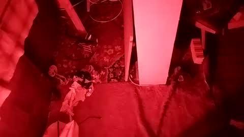 Cocolino  online show from April 12, 2026, 5:18 pm