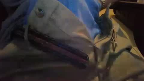 cocksmana online show from January 19, 2026, 5:22 am