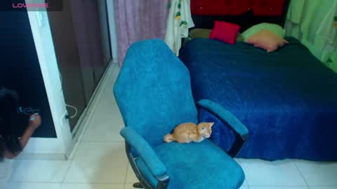 coco_macr online show from July 5, 2026, 4:30 am