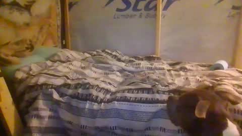 Snapshot of codmaster69 chatting on February 13, 2026, 10:33 am lickerpro69 online show from February 13, 2026, 10:33 am