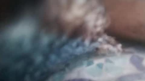 cojroymnamqm online show from November 7, 2025, 5:13 pm