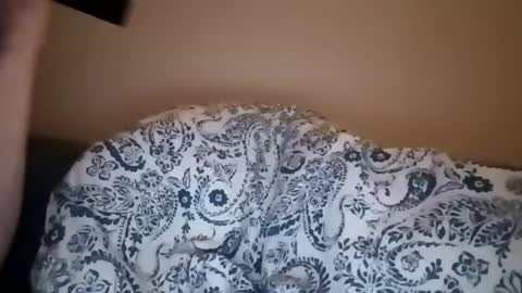 color233 online show from March 1, 2025, 8:56 am