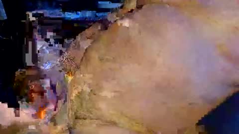 colourlight online show from March 23, 2026, 4:55 pm