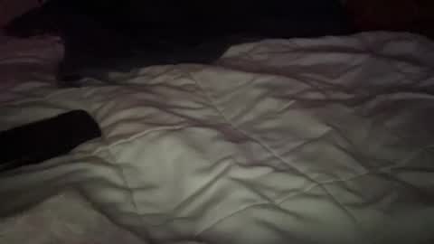 Snapshot of concretecarpenter chatting on November 9, 2025, 8:12 am concretecarpenter online show from November 9, 2025, 8:12 am