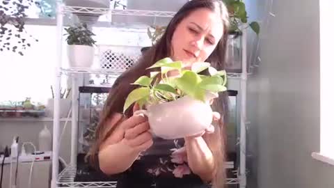 Snapshot of constantcumquest chatting on October 4, 2025, 4:27 pm ANR Mommy online show from October 4, 2025, 4:27 pm