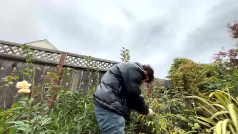 Snapshot of coronelking chatting on September 28, 2025, 10:26 pm coronelking online show from September 28, 2025, 10:26 pm