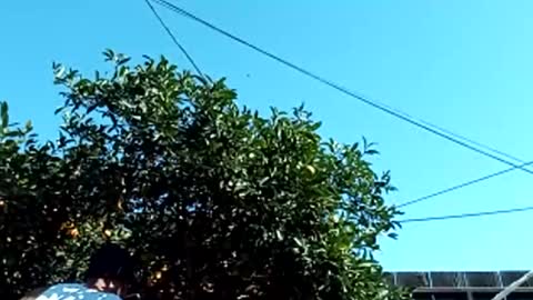 Snapshot of corpusrichard78 chatting on March 3, 2025, 6:55 pm corpusrichard78 online show from March 3, 2025, 6:55 pm