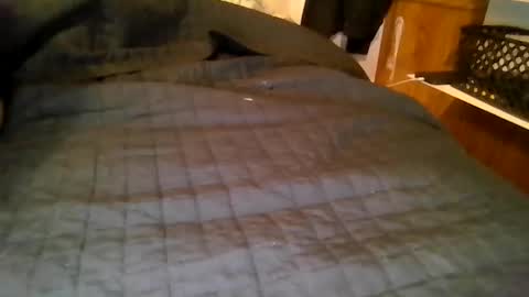 your local abrasive ALT couple online show from March 19, 2026, 8:07 am