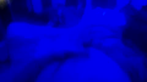 Countrystudd online show from December 23, 2025, 8:12 am