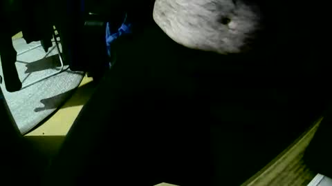 Snapshot of coyote017 chatting on October 22, 2025, 6:18 pm coyote017 online show from October 22, 2025, 6:18 pm