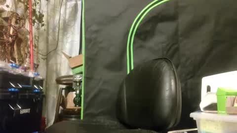 Snapshot of crackback_kyd chatting on February 14, 2026, 12:02 pm crackback_kyd online show from February 14, 2026, 12:02 pm