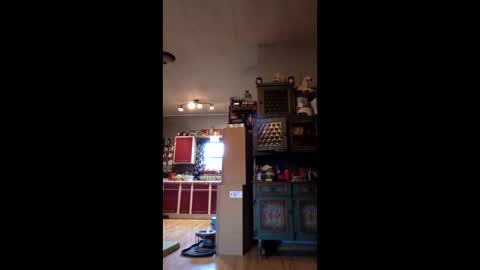 craig232301327629 online show from January 9, 2026, 1:36 pm