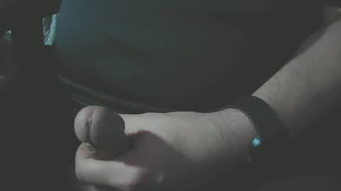 Snapshot of crank_4_u chatting on December 30, 2024, 3:47 am lone stallion online show from December 30, 2024, 3:47 am