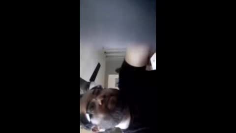 crazychubbyguy69 online show from February 12, 2026, 10:43 am