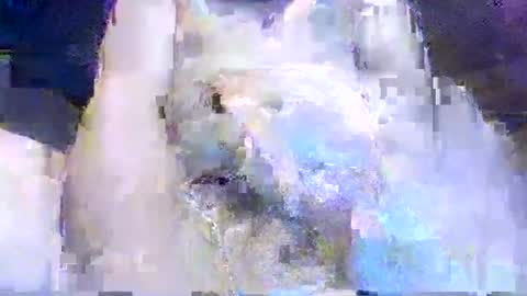 crazydog3690 online show from March 12, 2026, 1:34 am