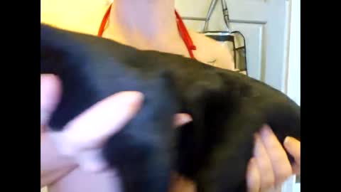 creamymilf11 online show from September 30, 2025, 3:17 pm