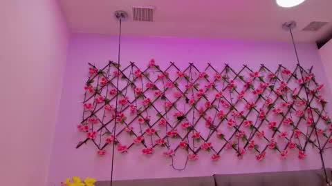 Snapshot of cristalshay chatting on September 20, 2025, 12:17 pm cristalshay online show from September 20, 2025, 12:17 pm