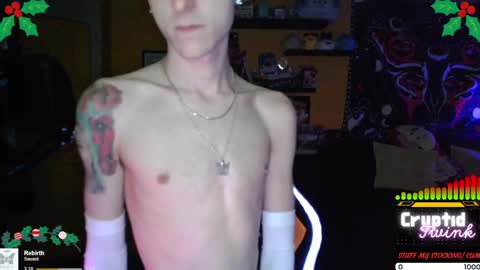 CryptidTwink online show from December 24, 2024, 4:55 am