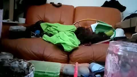 crystelweed online show from November 9, 2025, 8:56 am