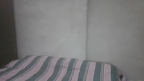 Noha online show from March 17, 2026, 1:58 pm