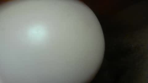 Snapshot of cumdr619 chatting on January 8, 2026, 10:23 pm cumdr619 online show from January 8, 2026, 10:23 pm