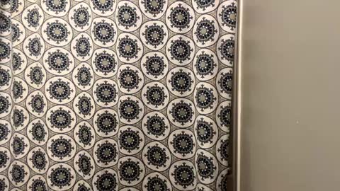 Snapshot of cumking51 chatting on January 20, 2025, 12:36 am ConCon online show from January 20, 2025, 12:36 am