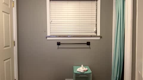 Snapshot of cumking51 chatting on February 19, 2025, 3:50 am ConCon online show from February 19, 2025, 3:50 am