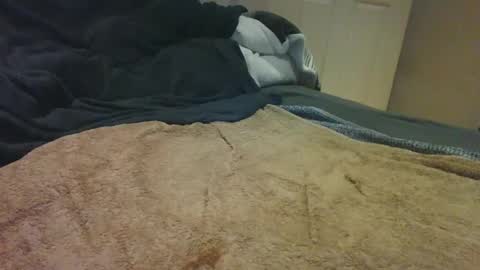 cummbumm69 online show from December 15, 2024, 1:35 am