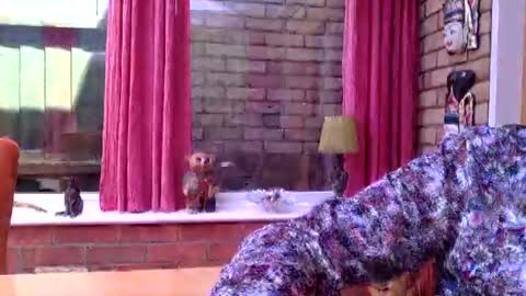 cumonherguys online show from June 18, 2026, 11:58 am