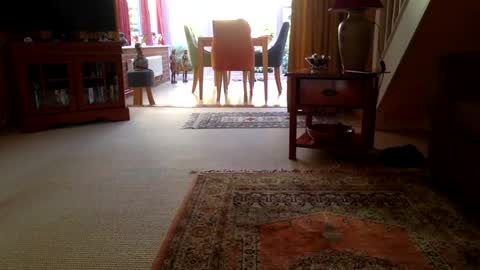 cumonherguys online show from June 29, 2026, 7:25 am