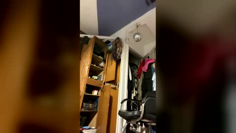 Aprilia online show from February 2, 2026, 9:35 pm