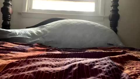 Snapshot of curiousperformance chatting on December 4, 2024, 1:53 pm Curiousperformance online show from December 4, 2024, 1:53 pm