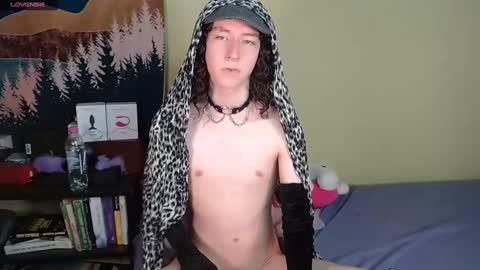 Noah online show from December 19, 2024, 4:02 pm