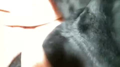 BI SMOOTH MATURE  SUB online show from March 5, 2025, 11:27 pm