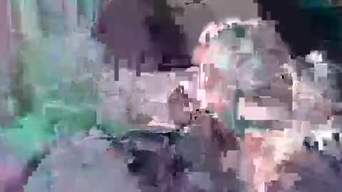 B dickkReallyyFck online show from January 23, 2025, 5:31 pm