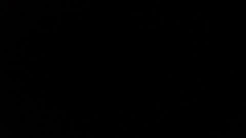 Destroyer online show from December 4, 2024, 10:30 pm