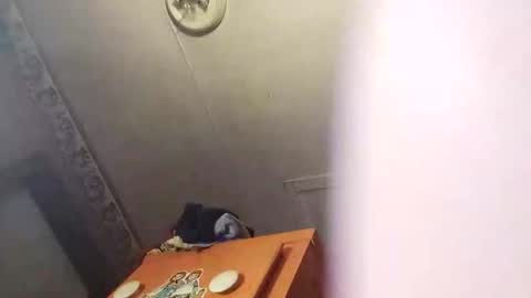 Snapshot of daddy5567127 chatting on February 15, 2025, 9:04 pm daddy5567127 online show from February 15, 2025, 9:04 pm