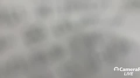 Tommy online show from November 2, 2025, 1:24 pm