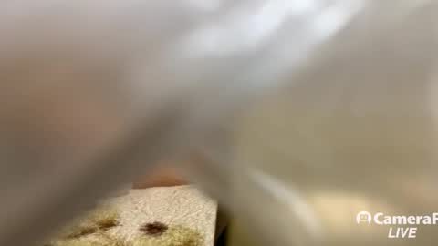 Tommy online show from November 14, 2025, 5:11 pm