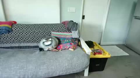 bas online show from October 27, 2025, 8:35 pm