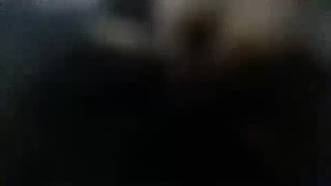 DDick online show from October 12, 2025, 1:59 am