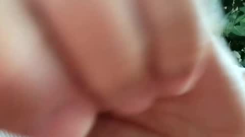 Snapshot of daddydick926 chatting on September 11, 2025, 1:22 pm daddydick926 online show from September 11, 2025, 1:22 pm