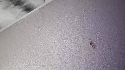 Snapshot of daddysg760472 chatting on April 4, 2026, 6:00 am PapiGuerodaddysgirl online show from April 4, 2026, 6:00 am